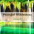 Green Nature SPA