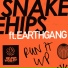 Snakehips, EARTHGANG