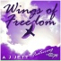 A J Jett feat. C C Jett