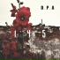 D.P.A