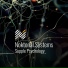 Noktonal Systems