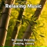 Yoga Music, Relaxing Spa Music, Yoga