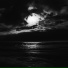 N i G H T S