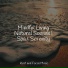 Spa, Exam Study Classical Music, Echoes of Nature