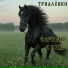 Триалёнки