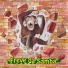 Freve da Samba