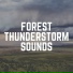 Thunderstorms