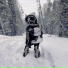 sky push