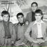 Mohammad Mahdi Moradi