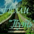 Нелли