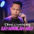 Dhani Gumintang
