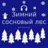 Виктор Лепетюхин