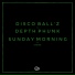 Disco Ball'z, Depth Phunk