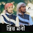 Alomgir Molla, Giyasuddin Amini