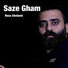 Reza Gholami
