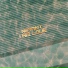 NIFIANT