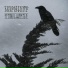 Hvergelmir