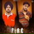Ritish, Baaghi