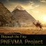 P N E V M A project
