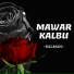SALMAN
