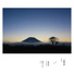 Kanazawa Hideaki, Sumire Kuribayashi