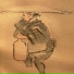 Akatana
