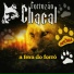 Forrozão Chacal