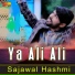 Sajawal Hashmi