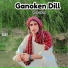 Nasir Dilsaf