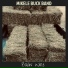 Mikele Buck Band
