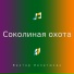 Виктор Лепетюхин
