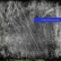 Shemit