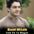 Said Ullah