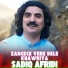 Sadiq Afridi