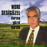 Nuri Sesigüzel