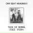 Car Seat Headrest