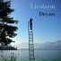 Lirolarm