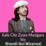 Shandi Gul Mizarwal
