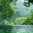 乐童缤纷