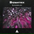 Biomatrix