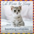 Relax My Cat, Cat Music Dreams