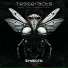 TESSERACTS