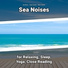 Sea Waves, Ocean Sounds, Nature Sounds