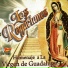 Los rogacianos