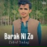 Zabid Sadag