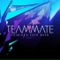 TeamMate