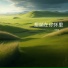 张雅宸