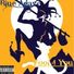 Blue Agave