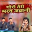 Dilbar Meraj, Sanam Waarsi
