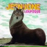 Jeen & Jone